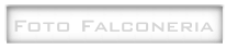 Foto Falconeria