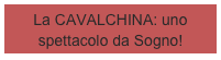 La CAVALCHINA: uno spettacolo da Sogno!