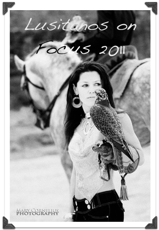 Lusitanos on Focus 2011