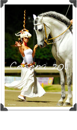 Cesena 2011
