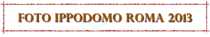 foto ippodomo ROMA 2013