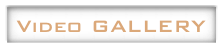 Video GALLERY
