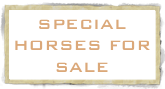SPECIAL HORSES FOR SALE