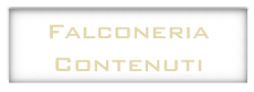 Falconeria
Contenuti