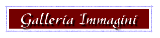 Galleria Immagini